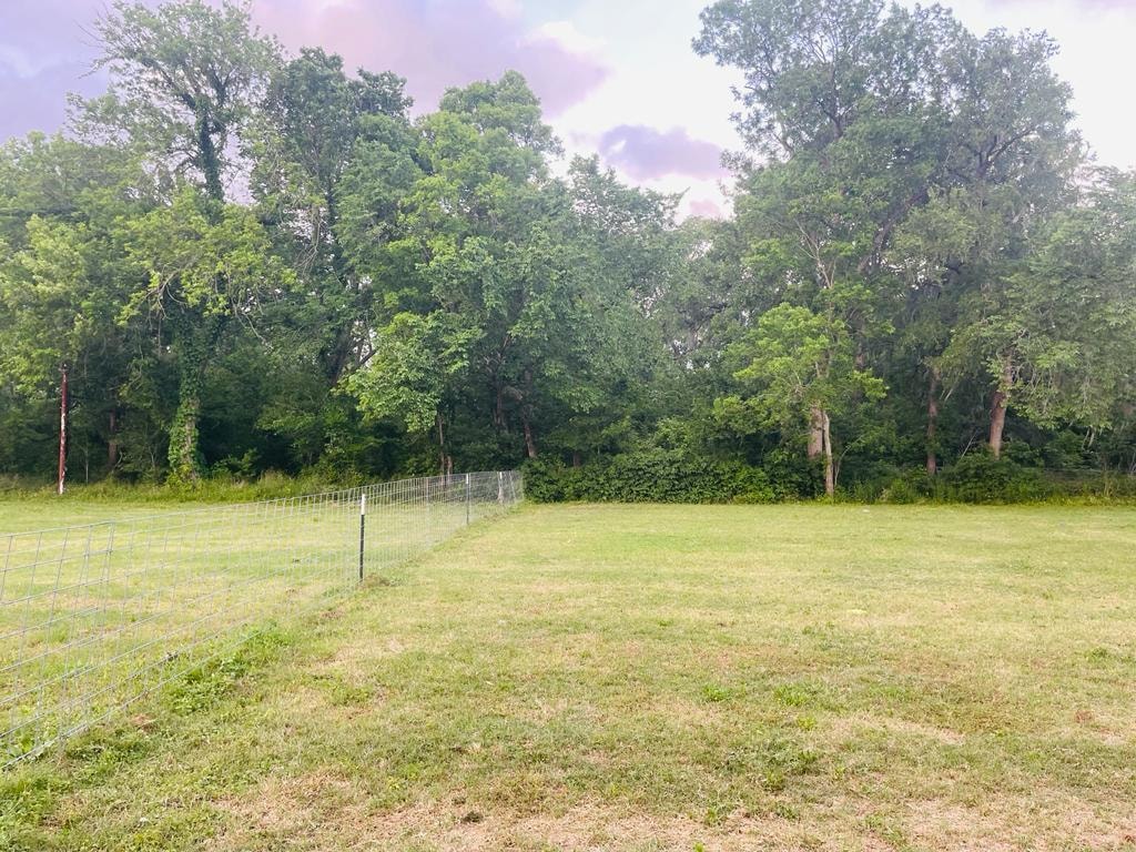 Fenced grassy dog park area with tree line at Sugar Land RV Park