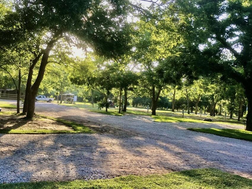 Sunlit gravel road lined with oak trees at Sugar Land RV Park