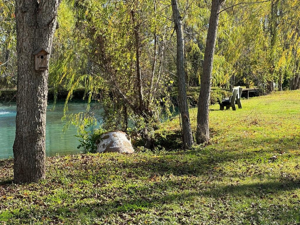 Birdhouse on tree beside the pond with Adirondack chairs at Sugar Land RV Park