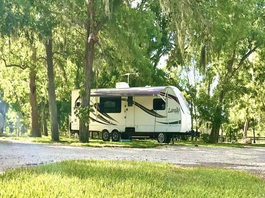 Laredo travel trailer parked under Spanish moss-draped trees at Sugar Land RV Park