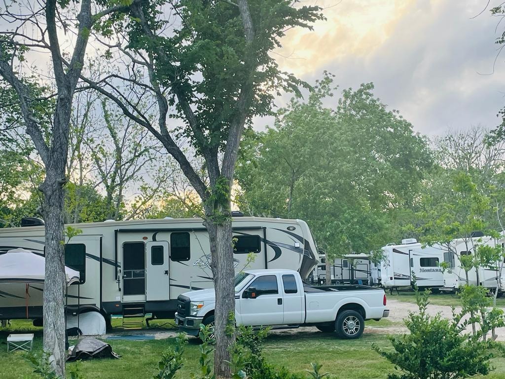 Row of RVs parked among trees at sunset at Sugar Land RV Park